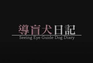 導盲犬日記影片海報